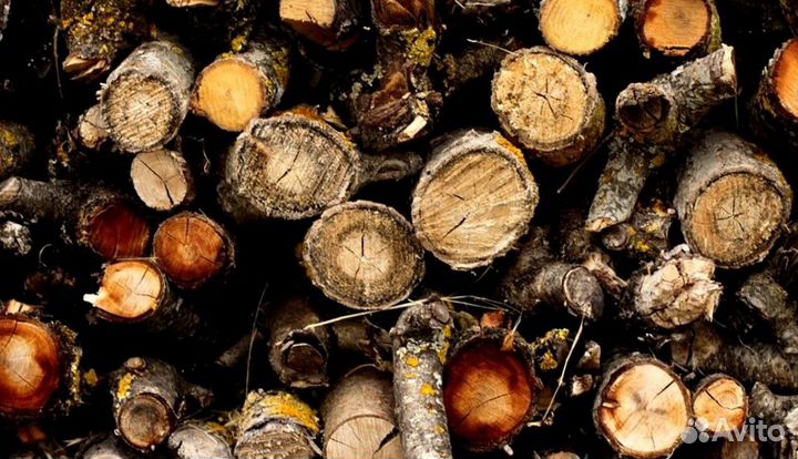 Дрова в город