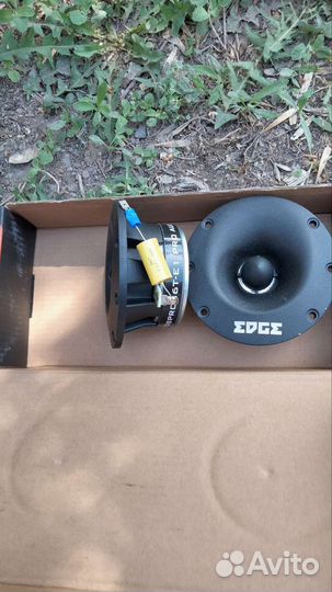 Динамики пищалки