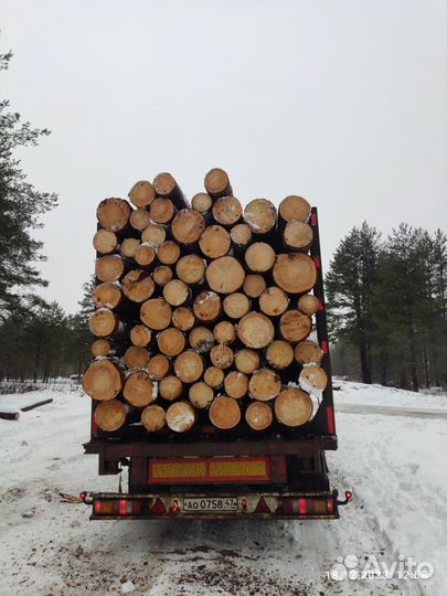 Пиловочник Деловой