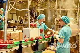 Фасовщик/вахта с проживанием/Краснодарский край