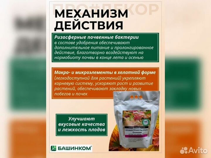 Пробиогранулы pgpr Осенние