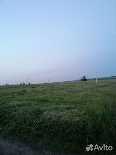 Покос травы