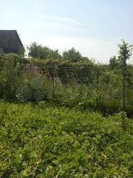 Участок 6 сот. (СНТ, ДНП)