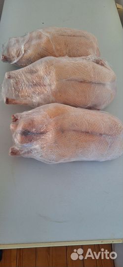 Гусиное мясо