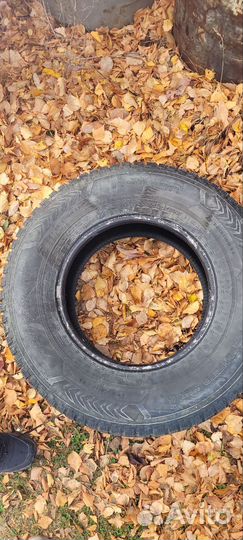 Nokian Tyres Hakkapeliitta 5 265/70 R16 112T