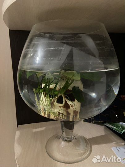 Аквариум круглый