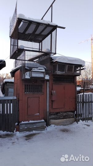 Голубятня
