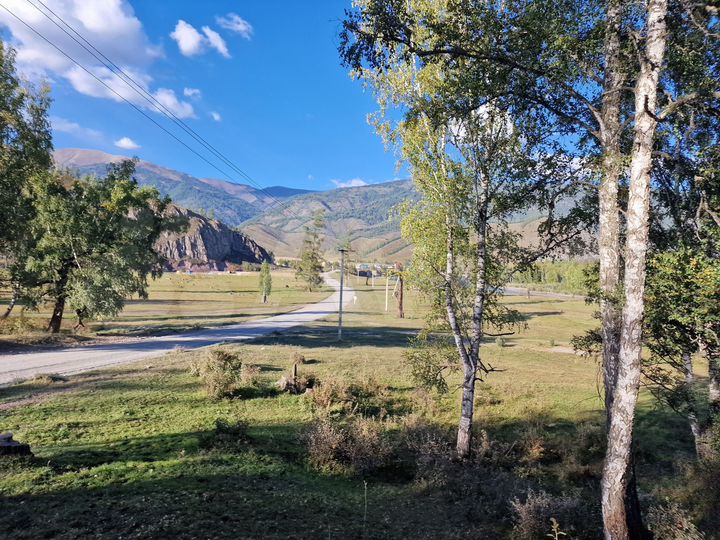 Участок 10 сот. (СНТ, ДНП)