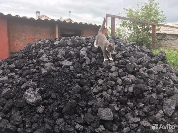 Уголь с разрезов Кузбасса