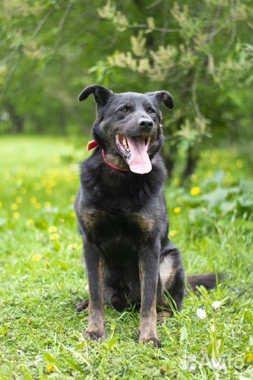 Тот самый парень который не оборачивается на взрыв