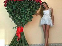 Розы, букет цветы розы, 1,5 метровые высокие розы