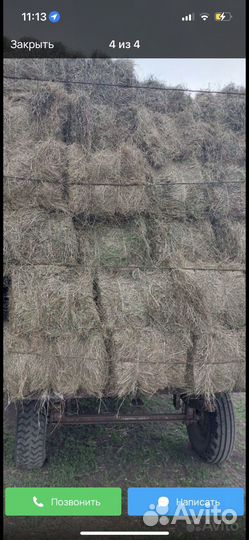 Сено в тюках