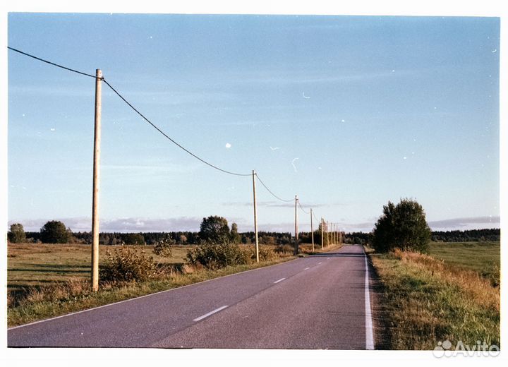 Фотоплёнка / киноплёнка Kodak Vision 250D 36к 2шт