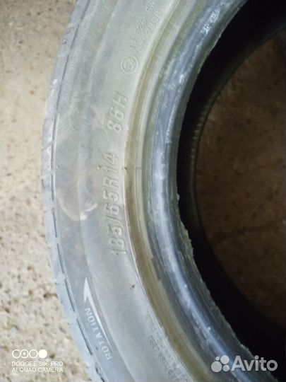 Maxxis ArcticTrekker NS5 185/65 R14