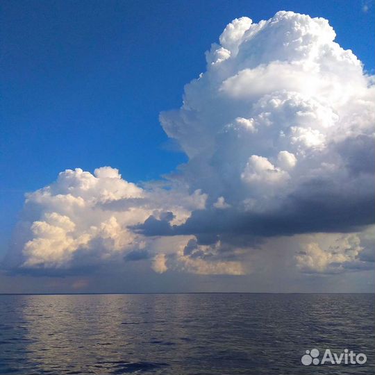 Прокатиться на лодке, катере в Рыбинске