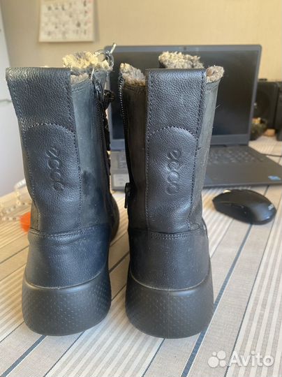 Зимние ботинки ecco 37