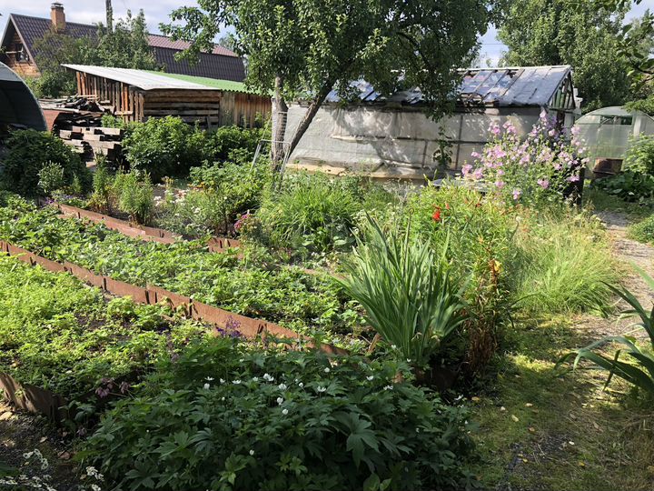 Дом 14 м² на участке 4 сот.