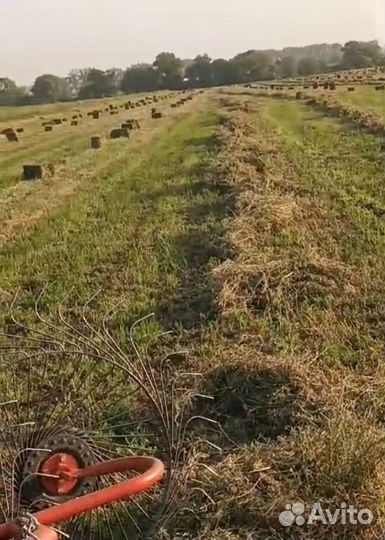 Сено Салома в тюках