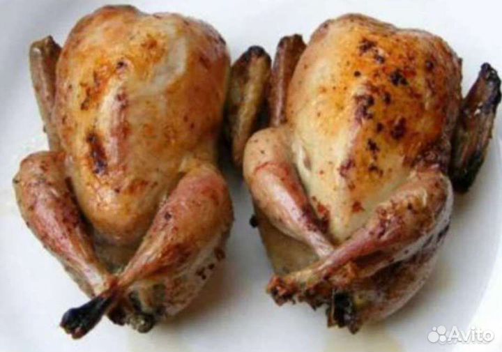 Мясо перепела, яйцо, утки, куры, индейка