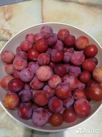 Сливы, яблоки