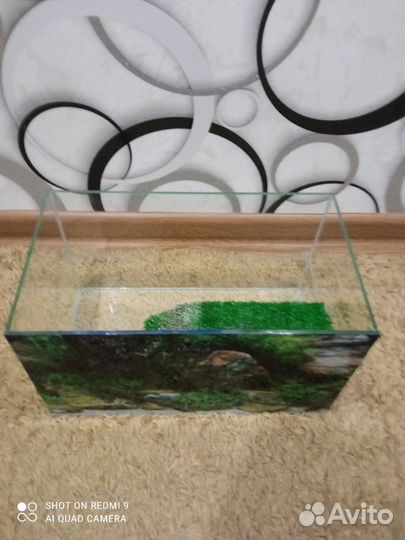 Аквариум