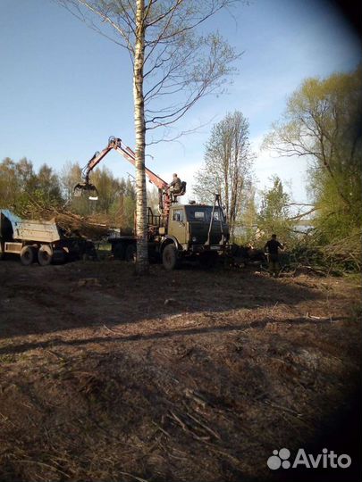 Опиловка деревьев