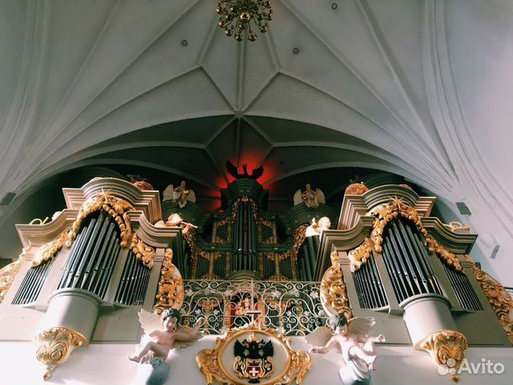 Экскурсия — Калининград — От Кенигсберга до Калини