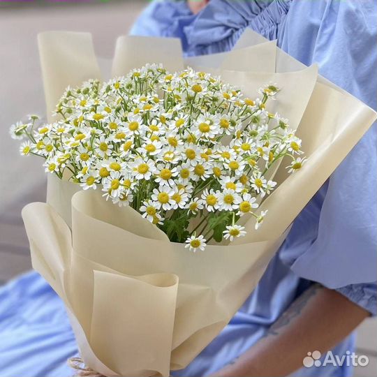 Ромашки цветы букеты