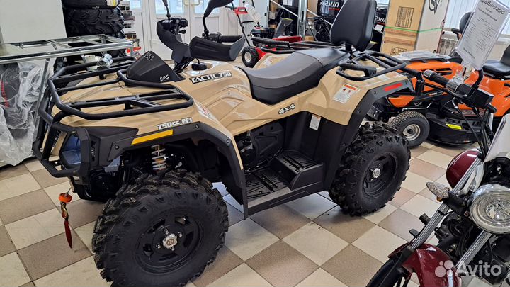 Hisun tactic 750 limited EPS