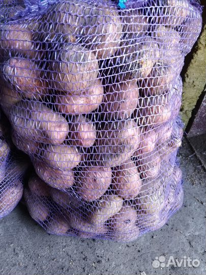 Продам картофель с доставкой