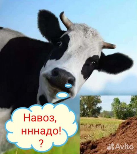 Торфогрунт, навоз