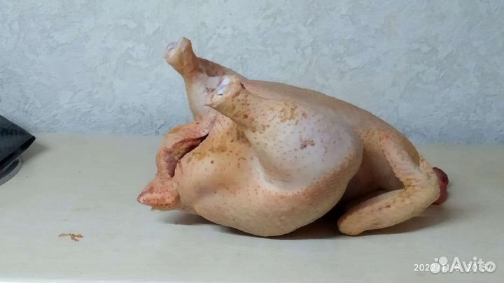 Куры бройлеры