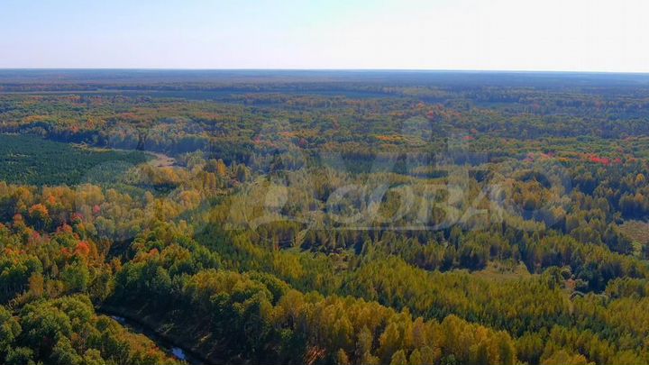 Участок 14,5 га (СНТ, ДНП)