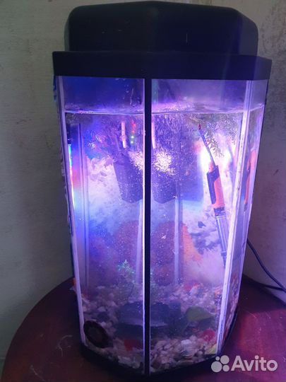 Аквариумы 100,60,50 литровые