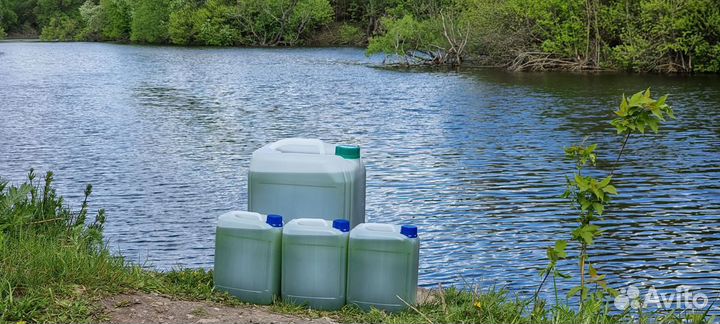 Хлорелла для очистки водоемов