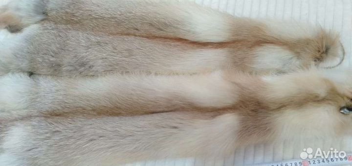 Шкуры лисы