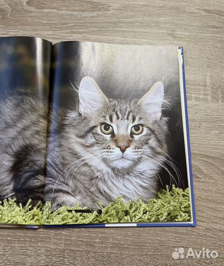Книги про кошек и собак