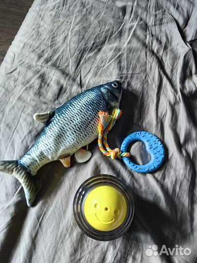 Кошачьи игрушки