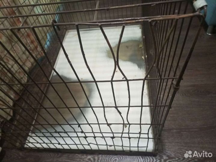 Клетка для собак
