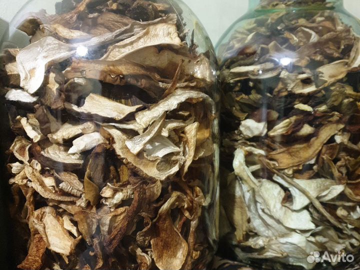 Грибы сушёные
