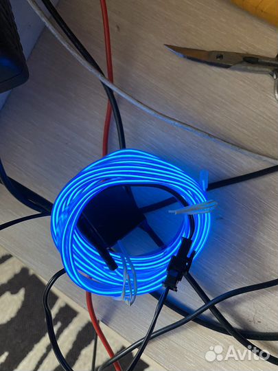 Холодный neon