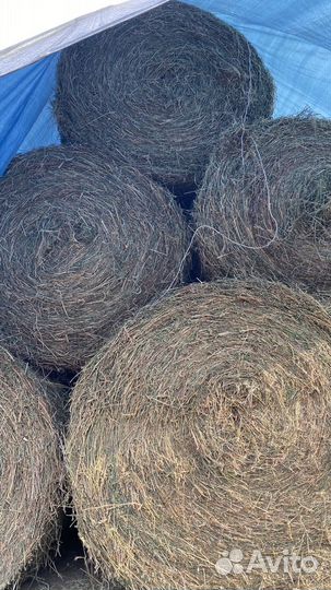 Сено люцерны в тюках