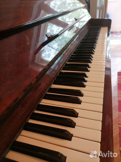 Фортепиано прелюдия