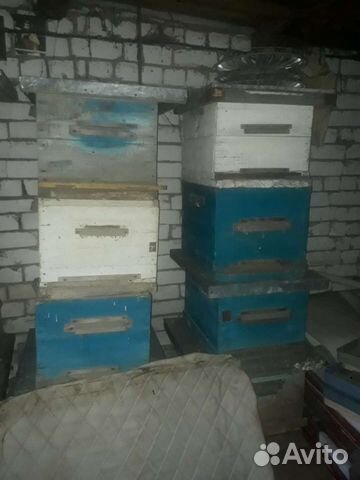 Продам 10 и 12 рамочные ульи для пчёл