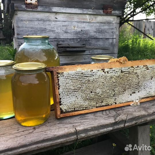 Мед с собственной пасеки