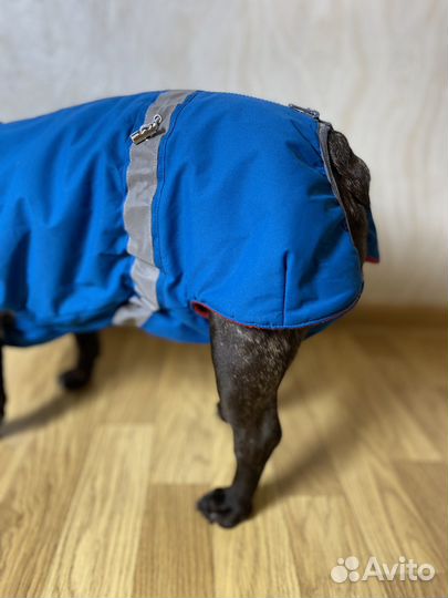 Теплый новый комбинезон для французкого бульдога