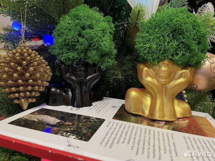 Панно из стабилизированного мха