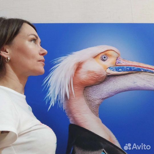 Картины на холсте