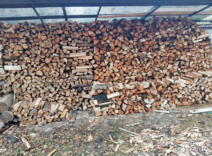 Дрова береза