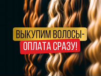 Скупка волос сдать продать волосы Димитровград